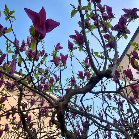 Casa Magnolia, Tranquilla E Centrale Apartman Nichelino Kültér fotó